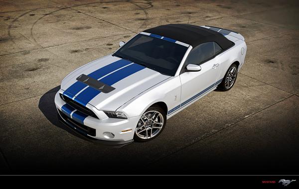 Performance white pics-2013-shelby-wt-blu-vert-004.jpg