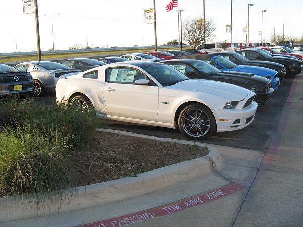 Oxford White-img_1318.jpg