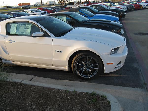 Oxford White-img_1320.jpg