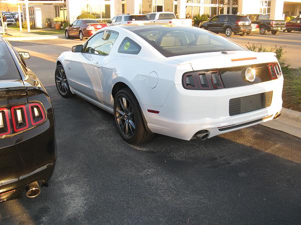 Oxford White-img_1322.jpg
