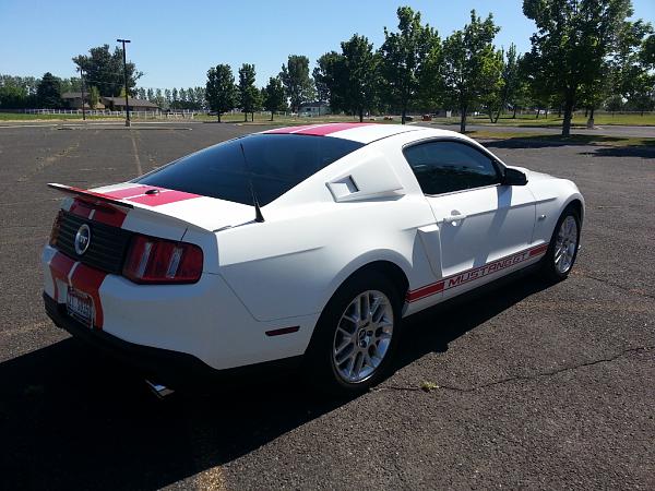 Performance white pics-20130616_110410-1024x768-.jpg