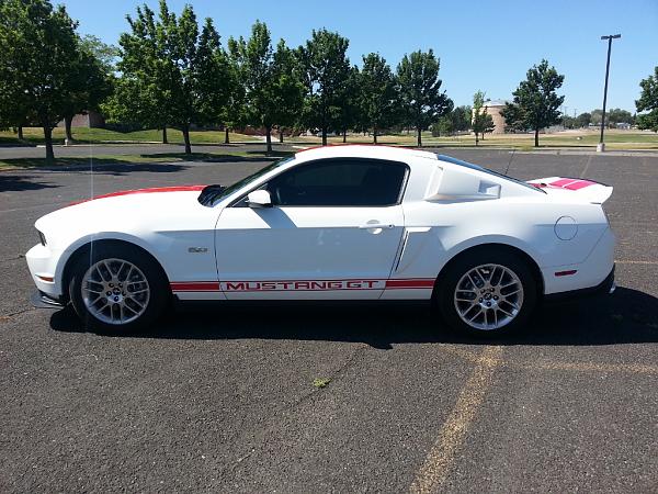 Performance white pics-20130616_110451-1024x768-.jpg