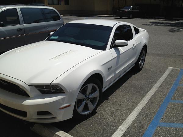 Performance white pics-image-2920433039.jpg