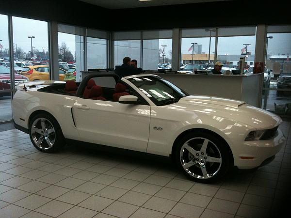 Another White Stang w/ Red Interior...Convertible :-)-img_0462.jpg