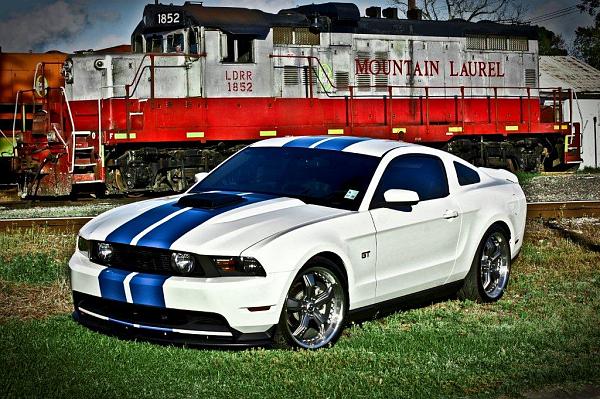 Performance white pics-securedownload-1-.jpg