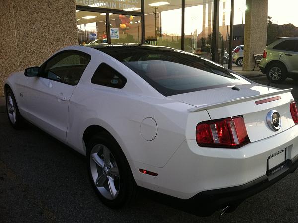 My new 5.0 with glass roof-back-left.jpg