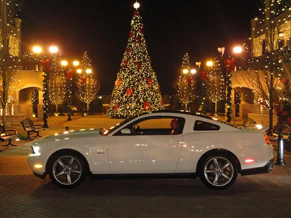 A day late but here is my GT Christmas photo-dsc01825.jpg