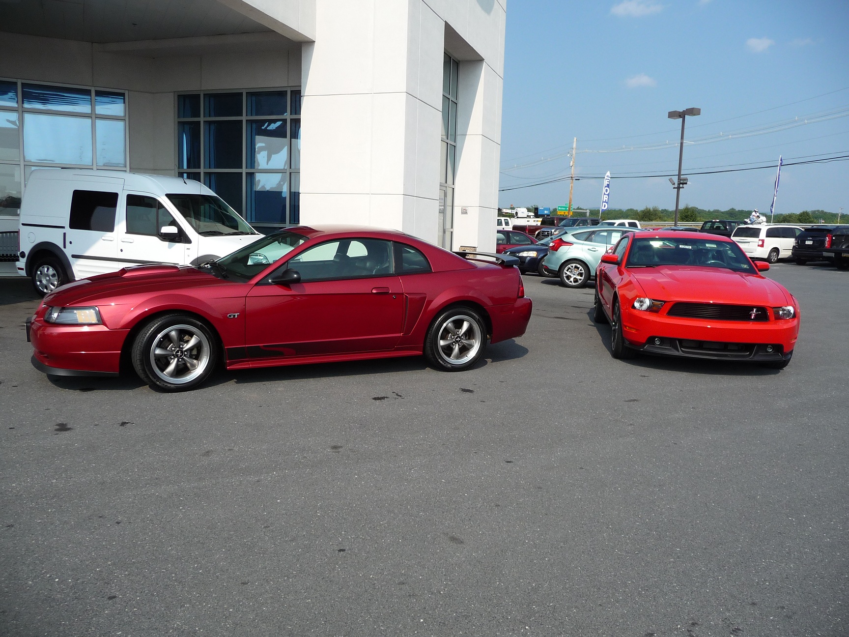 Ark Ligegyldighed Udholdenhed Race Red vs Red Candy - Any photos? - The Mustang Source - Ford Mustang  Forums