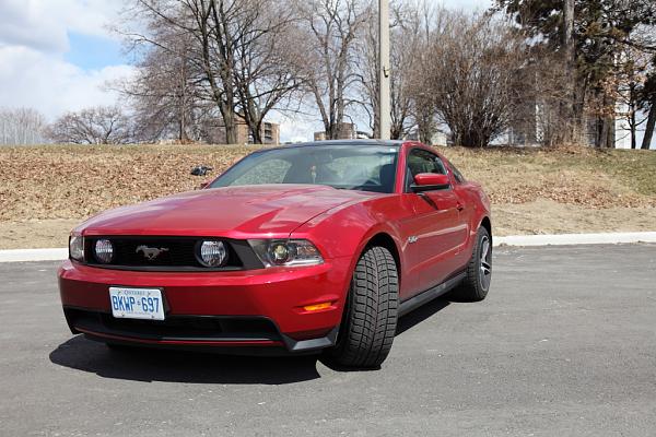 2011 GT Red Candy in the sun-redcandy19.jpg