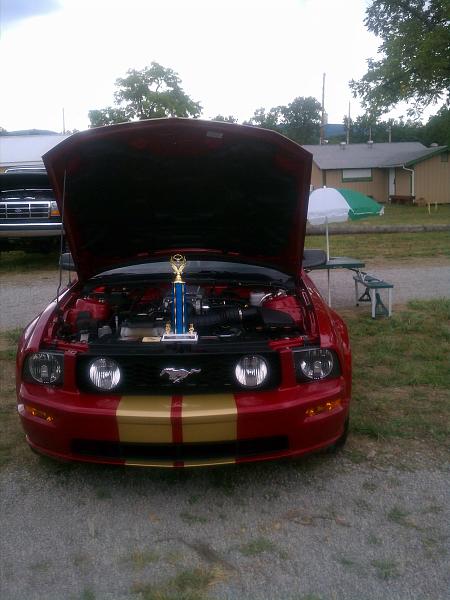 Here is my 2008 Candy Red GT-union-county-west-end-fair-car-show-073111.jpg