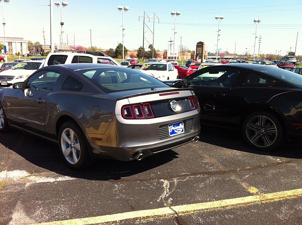 Quick Pics today-2013-sg-back-small.jpg