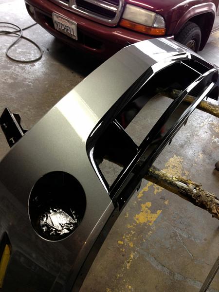 Request for close-up pics of black racing stripes on sterling gray Mustangs-image-1594651420.jpg