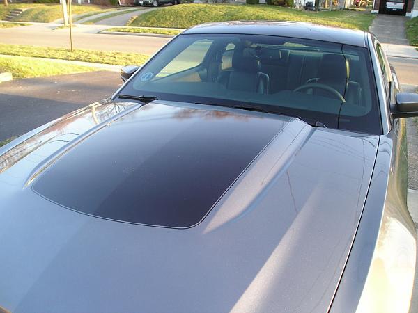 Request for close-up pics of black racing stripes on sterling gray Mustangs-p1010197_resize50.jpg