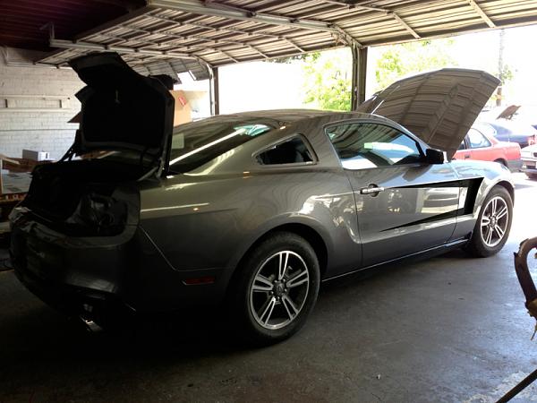 Request for close-up pics of black racing stripes on sterling gray Mustangs-image-4133067577.jpg