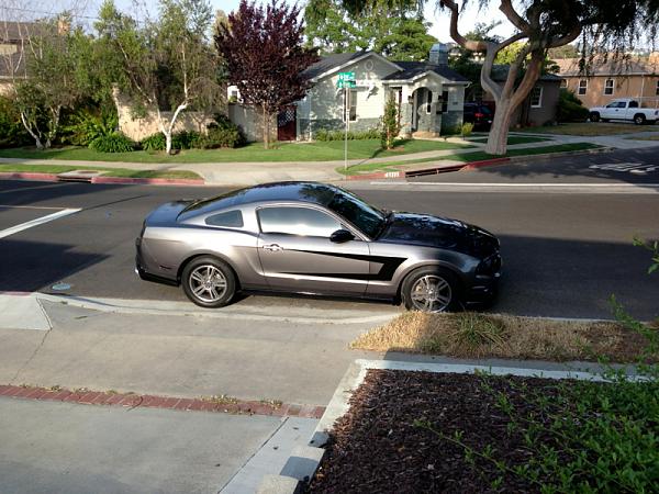 Request for close-up pics of black racing stripes on sterling gray Mustangs-image-1267135385.jpg