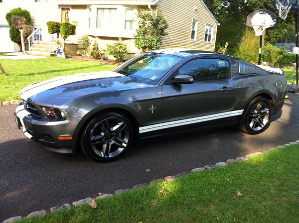 Request for close-up pics of black racing stripes on sterling gray Mustangs-photo.jpg