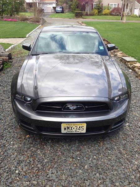 Calling all SGM Mustangs!-image-1811371995.jpg