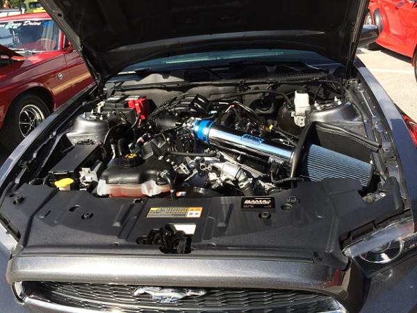 Calling all SGM Mustangs!-photo-1-640x480-.jpg