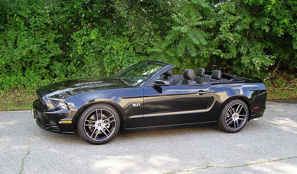 Calling all SGM Mustangs!-003.jpg