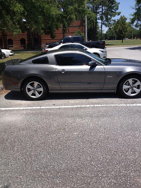Calling all SGM Mustangs!-1.jpg