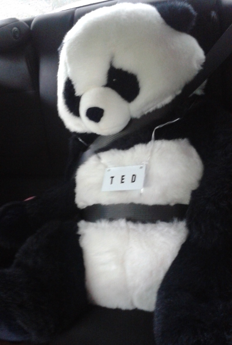Name:  2012-09-04_Ted.jpg
Views: 102
Size:  177.8 KB