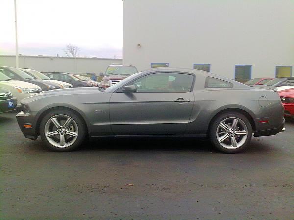 My 2010 Sterling Grey GT Coupe-2010_mustang_at_kings_ford-011.jpg