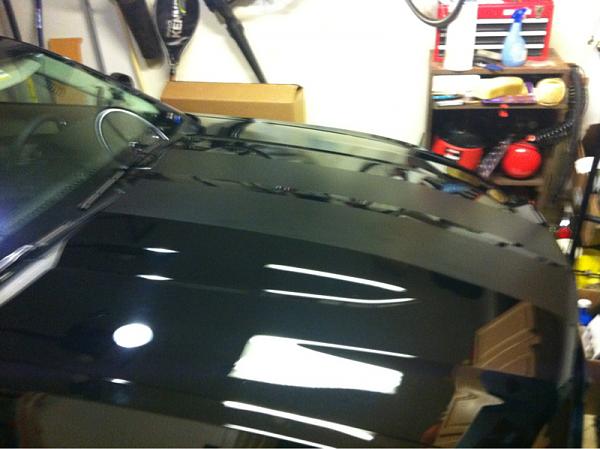 Matte Black Racing Stripes on Black 2011 GT-image-2702032146.jpg