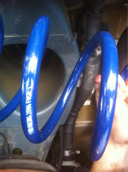 Ford Racing P Series Spring-image-2200272975.jpg