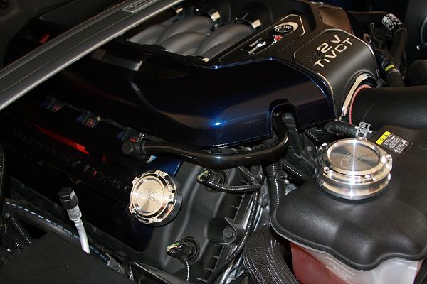 Installed my Steeda CAI &amp; added color-engine-bay-5.jpg