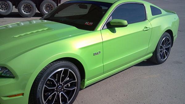 Brembo Mustang Owners- NEW SPRING KIT-551341_497812370255741_1246369879_n.jpg