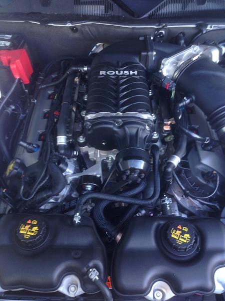 Installed Roush Phase 1-image.jpg