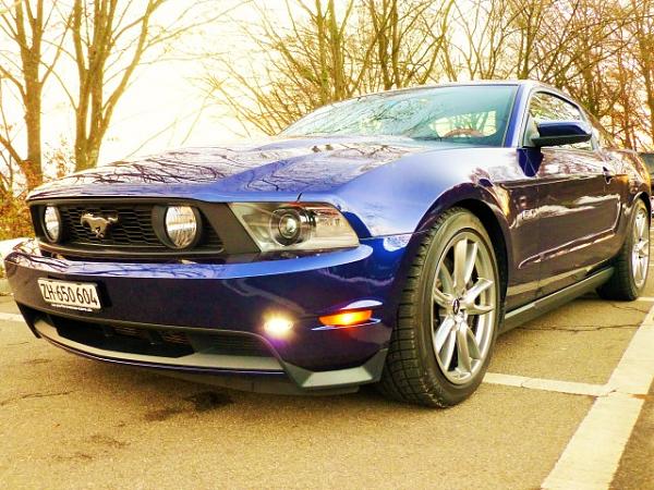 finally lowered my mustang!-p1020138-small-.jpg