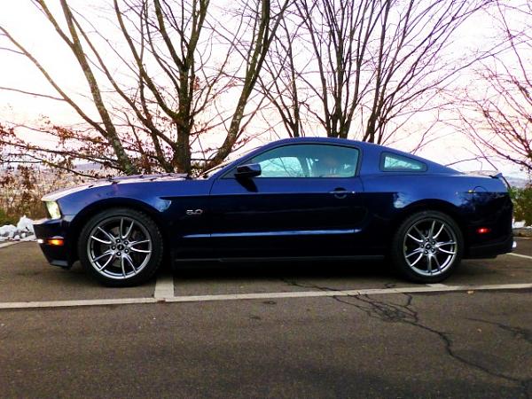 finally lowered my mustang!-p1020144-small-.jpg