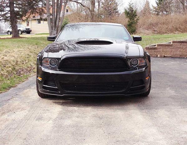 2013 GT Finally have some pics.-mustang-front-web.jpg