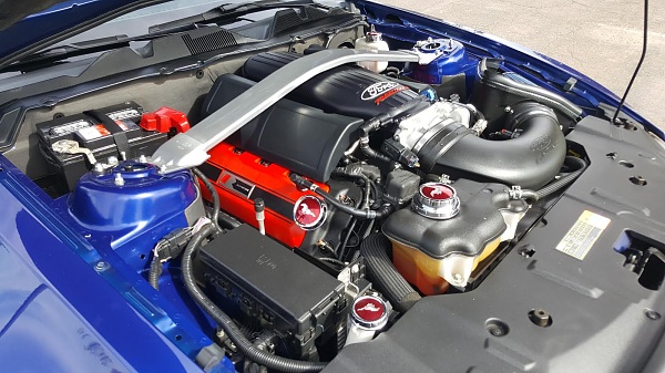 LOTS of mods to my 2013 GT - and more to come!-engine-1.jpg