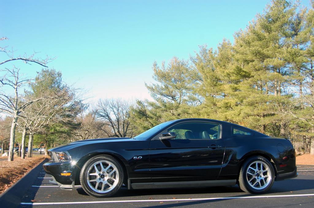 Name:  Mustang220121206.jpg
Views: 40
Size:  130.5 KB