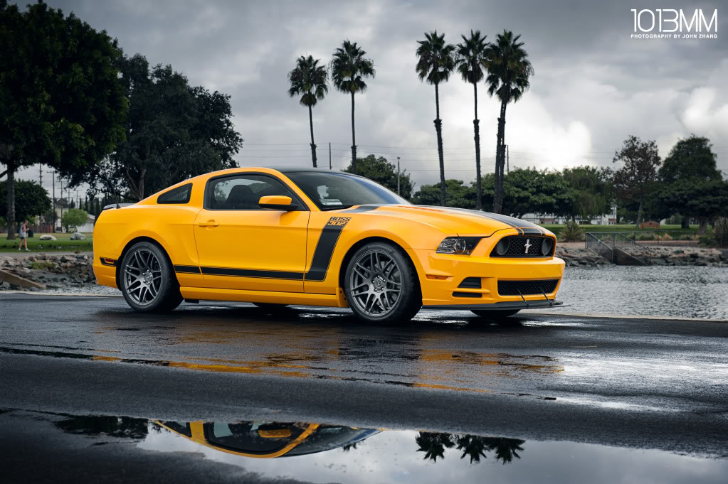 Name:  DSC_7367.jpg
Views: 192
Size:  158.5 KB