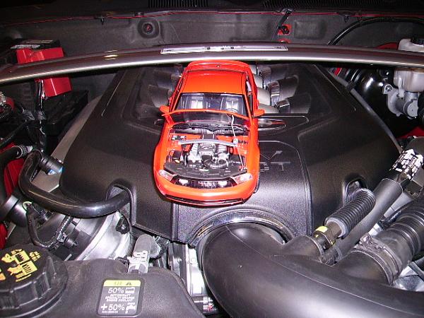 2011 5.0 Strut Tower Brace-mini-me-open-hoods.jpg