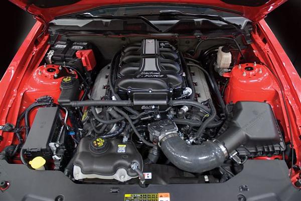 5.0 Coyote Edelbrock E-force coming soon. Pre-order now!-1588_installed_straight_small.jpg
