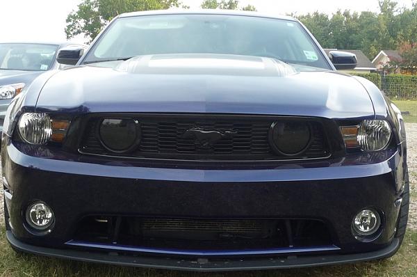 Fog light tint-p1030467.jpg
