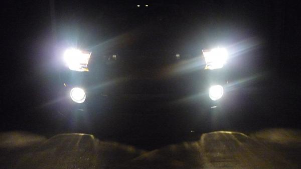Fog light tint-p1030470.jpg