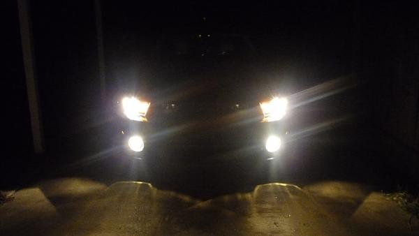 Fog light tint-p1030471.jpg