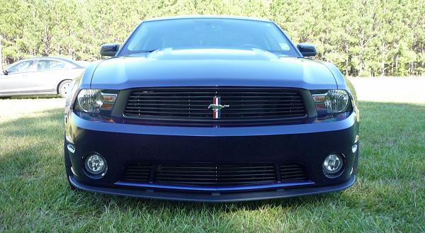 Roush or Saleen grille??-p1030649.jpg