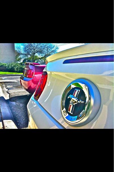 12' Grabber Blue V6 Project-image-70743423.jpg