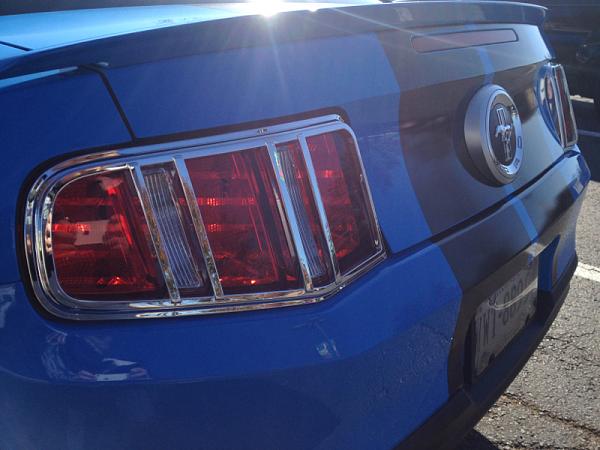 Update with my tinted tail-image-3866691441.jpg