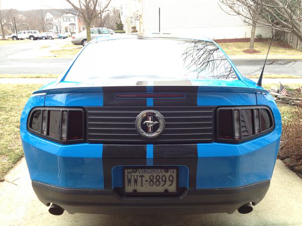 Update with my tinted tail-image-2769110810.jpg