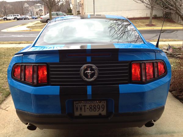 Update with my tinted tail-image-3715094047.jpg