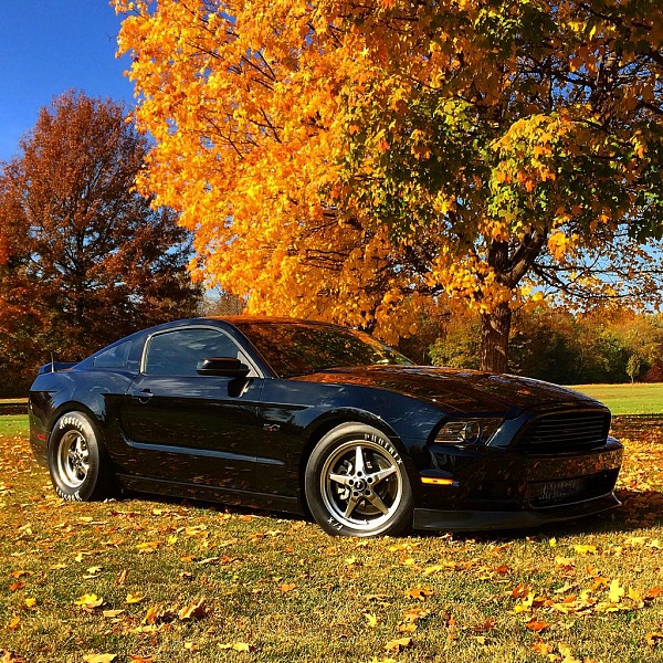 Mustang 3.5L Ecoboost engine swap-image.jpeg