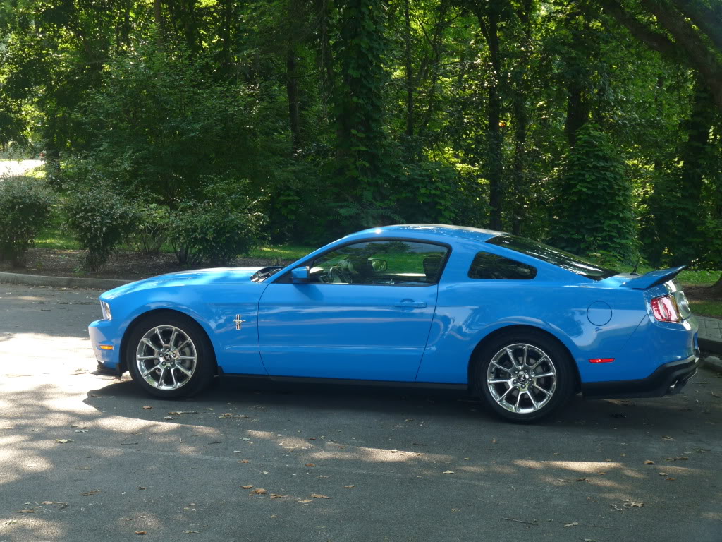 Name:  Mustangpicsaroundtown029.jpg
Views: 182
Size:  203.2 KB