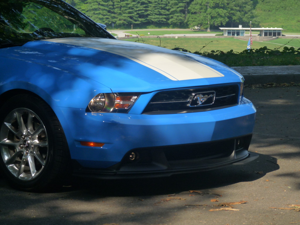 Name:  Mustangpicsaroundtown034-2.jpg
Views: 49
Size:  202.1 KB